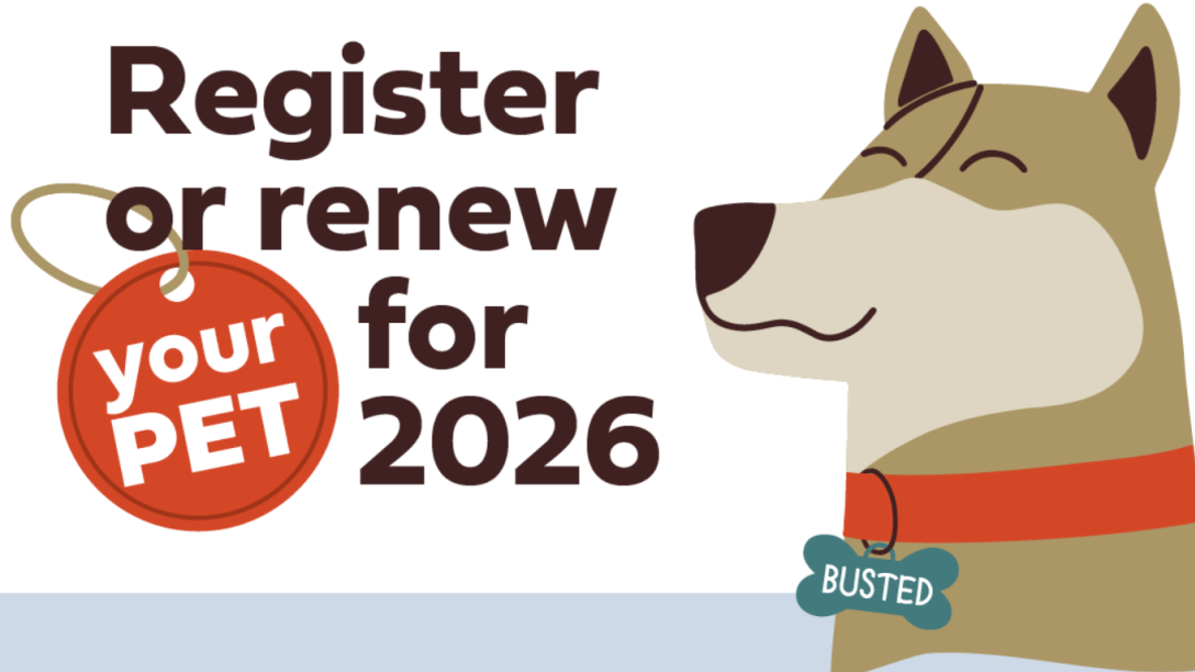 Register or renew your pet for 2026