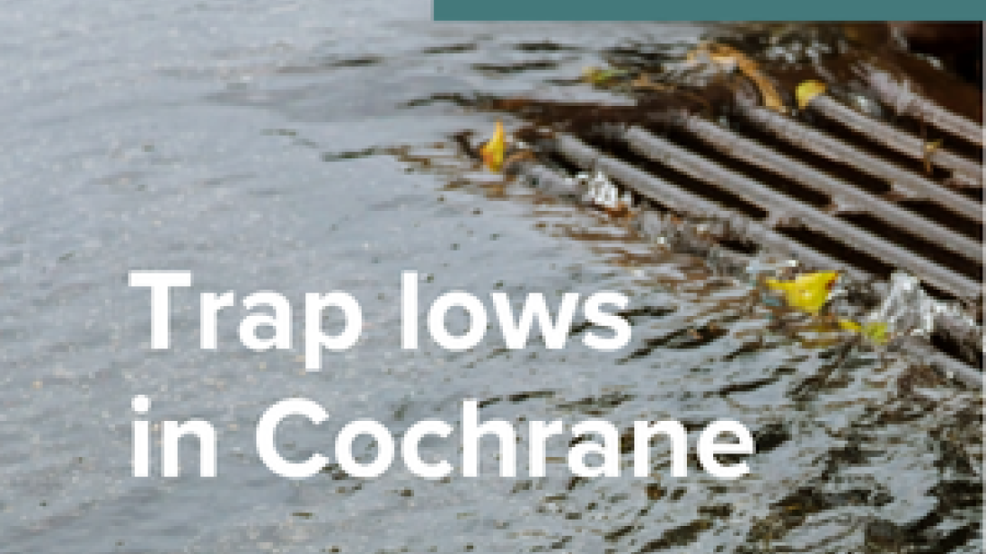 storm drain with pooled water - trap low