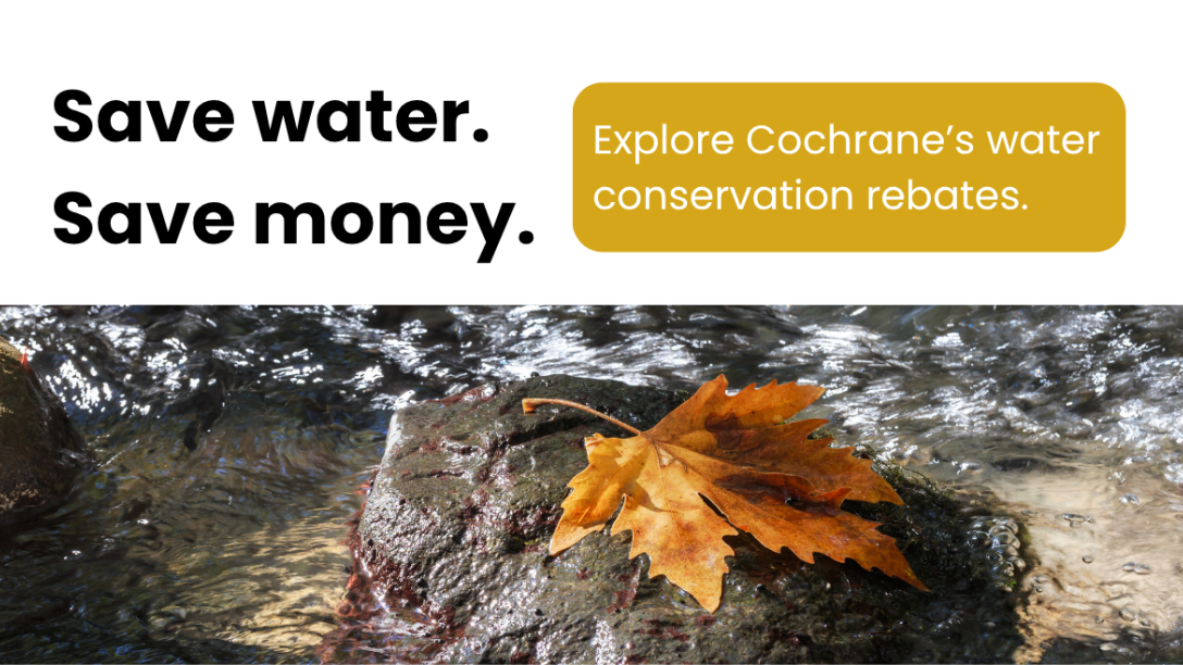 Web banner promoting Cochrane’s water conservation rebates. Text reads, “Save water. Save money. Explore Cochrane’s water conservation rebates.” Below is a photo of a fallen autumn leaf resting on a rock in flowing water.