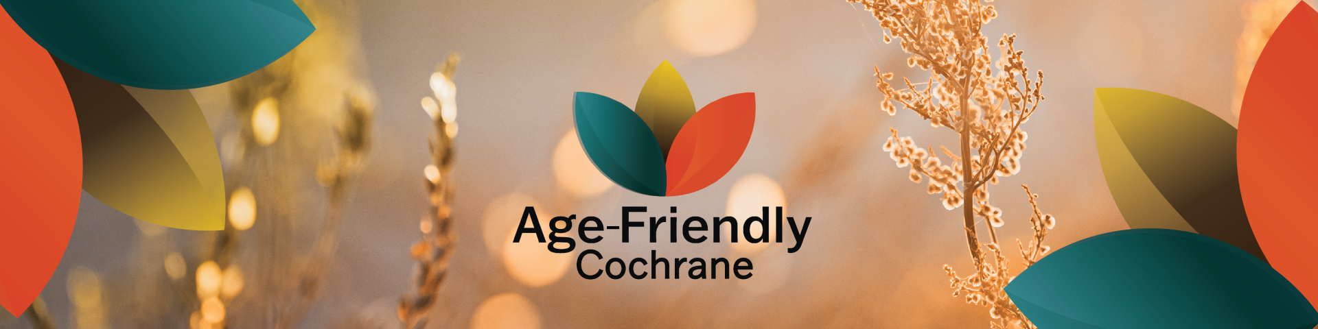 Age-Friendly Cochrane