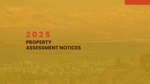 2025 Property Assessment Notices. text on a yellow background.