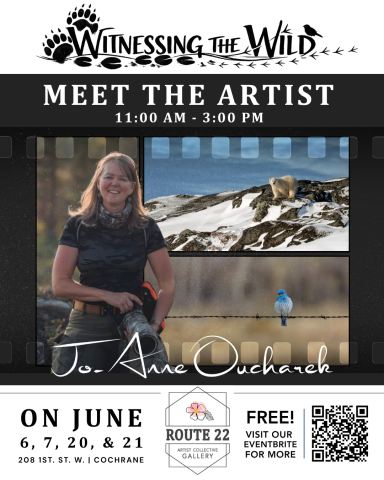 Meet Jo-Anne Oucharek as she shares the stories behind her solo exhibition!