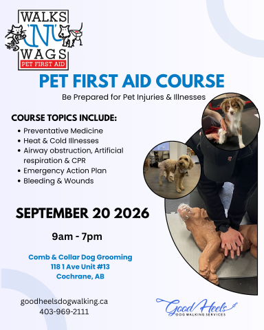 Pet first aid course poster for course on September 20 2026 from 9am to 7pm. Photos of dogs being bandaged and a person performing cpr on a dog mannequin.